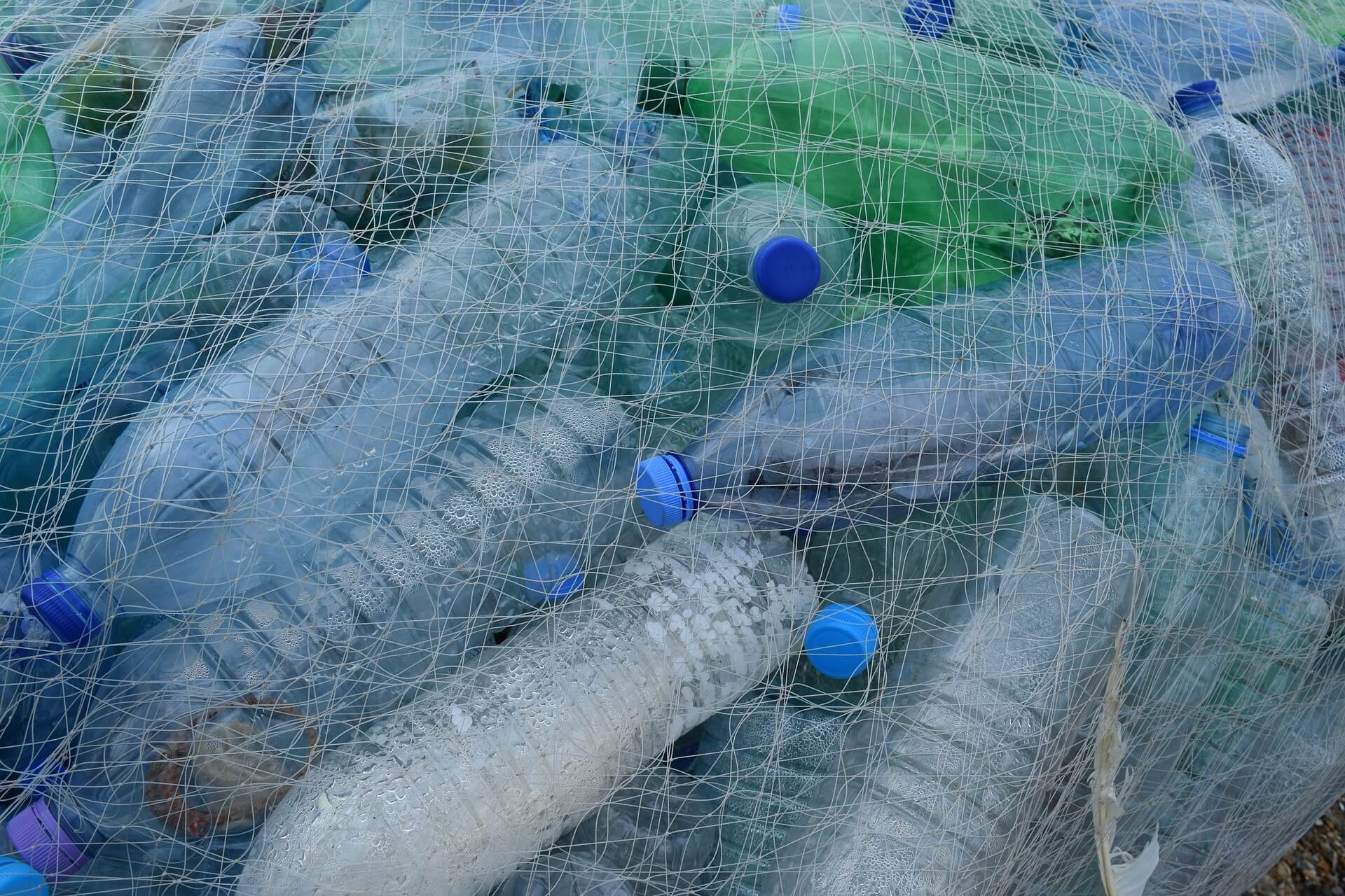 Muovipulloja kalaverkon sisällä