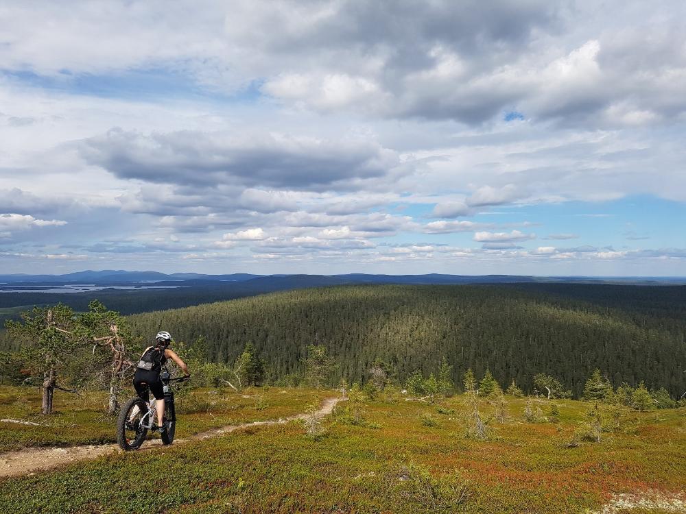 yksinäinen pyöräilijä polulla.