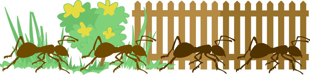 Kuvituskuva: muurahaisia