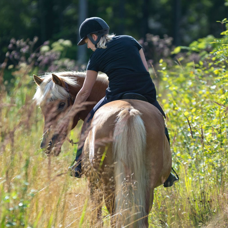 Ratsastaja hevosen selässä.