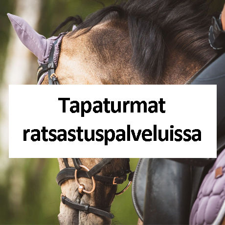 Ratsastustapaturmaraportin etusivulle.