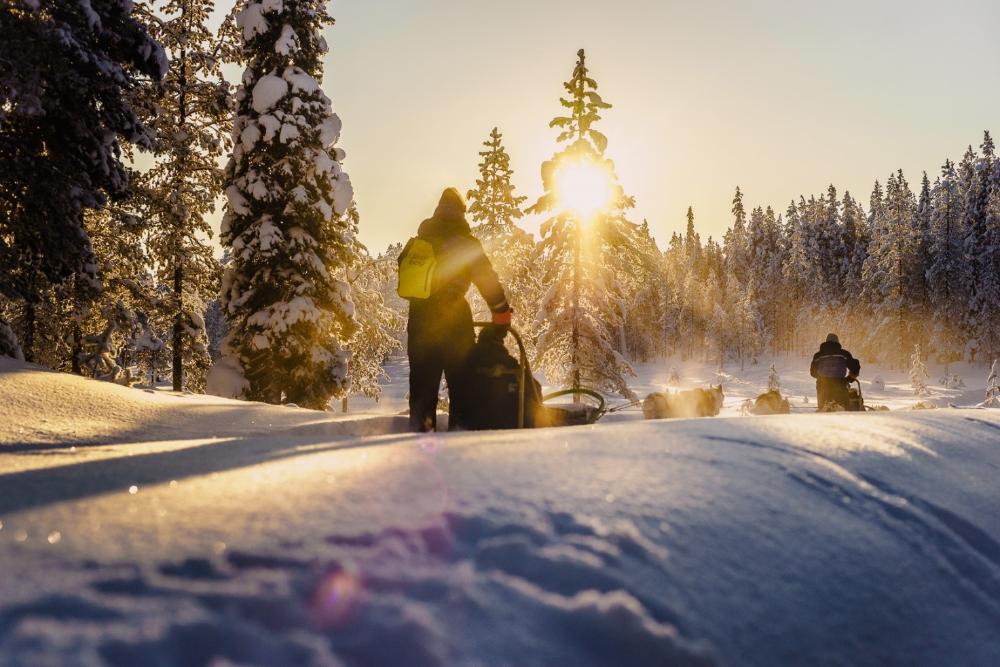 kaksi koiravaljakkoa lumella.